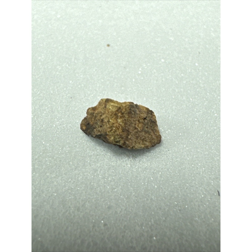 NWA Small Astroid Meteorite Space Rock Sahara Desert Northwest Africa 221634425